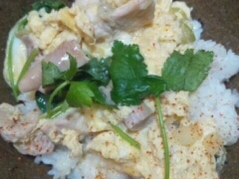 一味違う長ねぎの親子丼